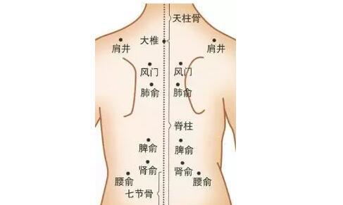 孩子脾胃不好该怎么调理