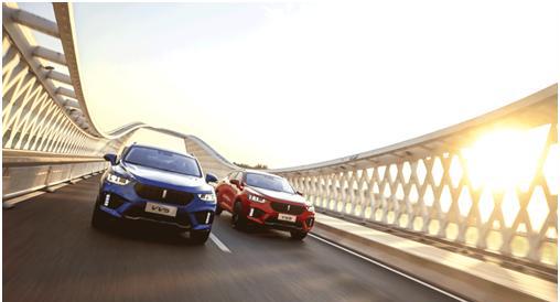 该有的一样不少，WEY用心打造国产豪华SUV