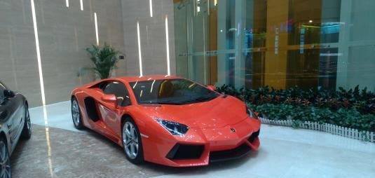 金毛撞坏800万兰博基尼:修车费45万,女儿为车