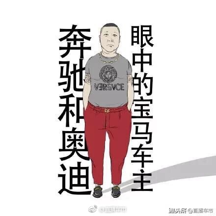 据说这是宝马、奔驰、奥迪车主.眼中的自己和