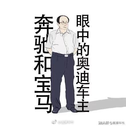 据说这是宝马、奔驰、奥迪车主.眼中的自己和