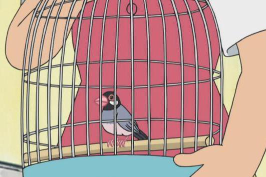 静香家的是鸟,胖虎家的是狗,哆啦A梦各人家里