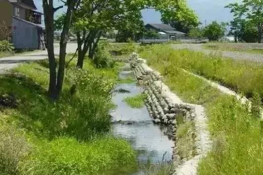 日本农村原来长这样? 怪不得中国人去那里养老