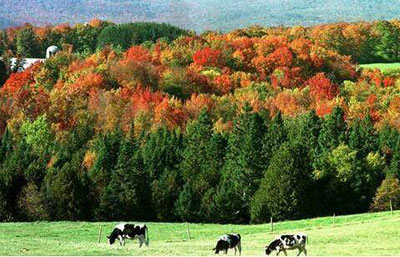 美国最穷的州,GDP总量相当于中国三线城市,人