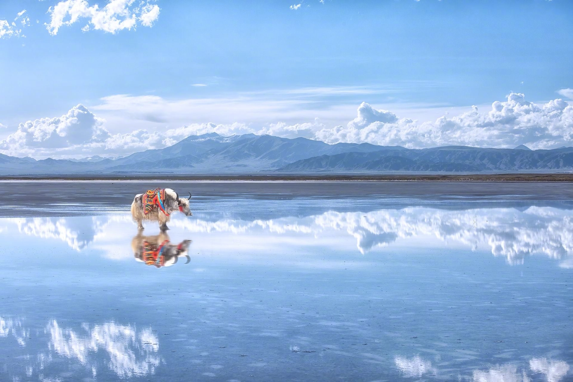 中国的天空之镜—茶卡盐湖,如今变成垃圾场