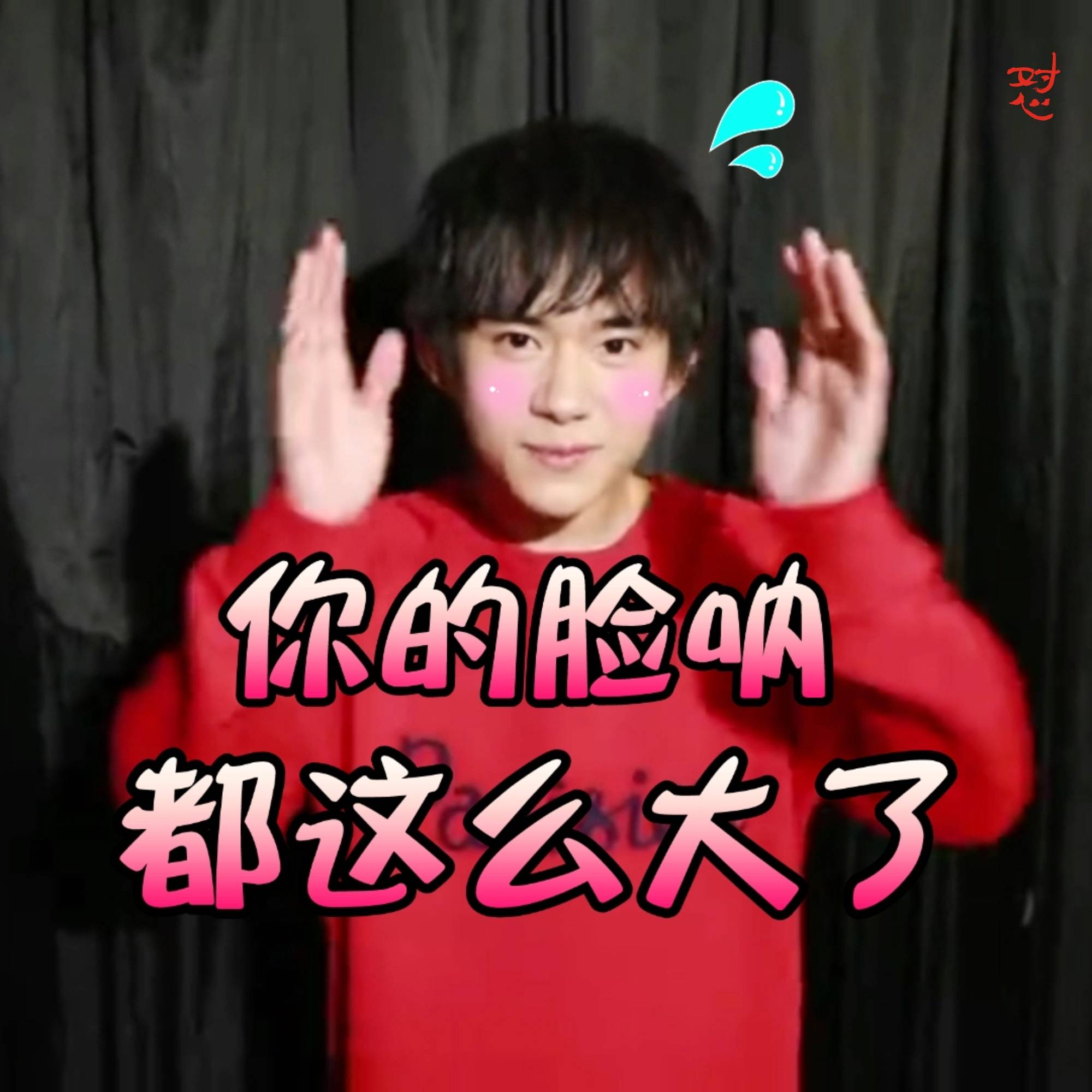 易烊千玺粉丝的表情包,真是会玩