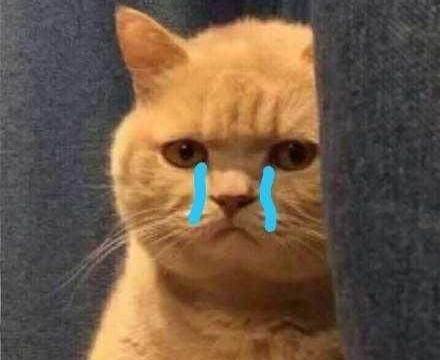 阿特兹同款内饰、加长50mm!1.5T+8AT!这辆轿车终于变高级！