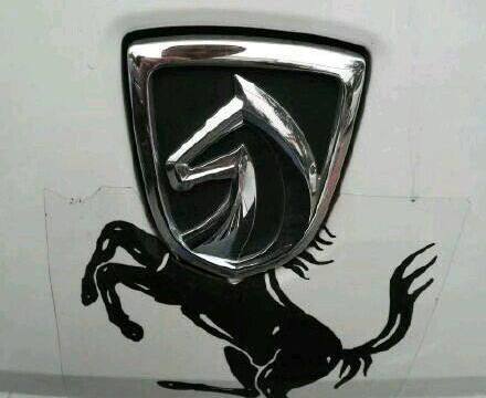 中国车主真会玩车标,图一我忍了,图二我也忍了,图四真忍无可忍