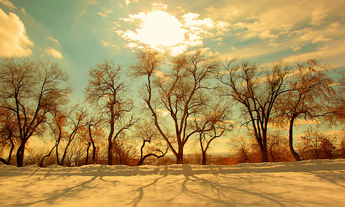 非常经典霸气的句子,未曾失败的人恐怕也未曾