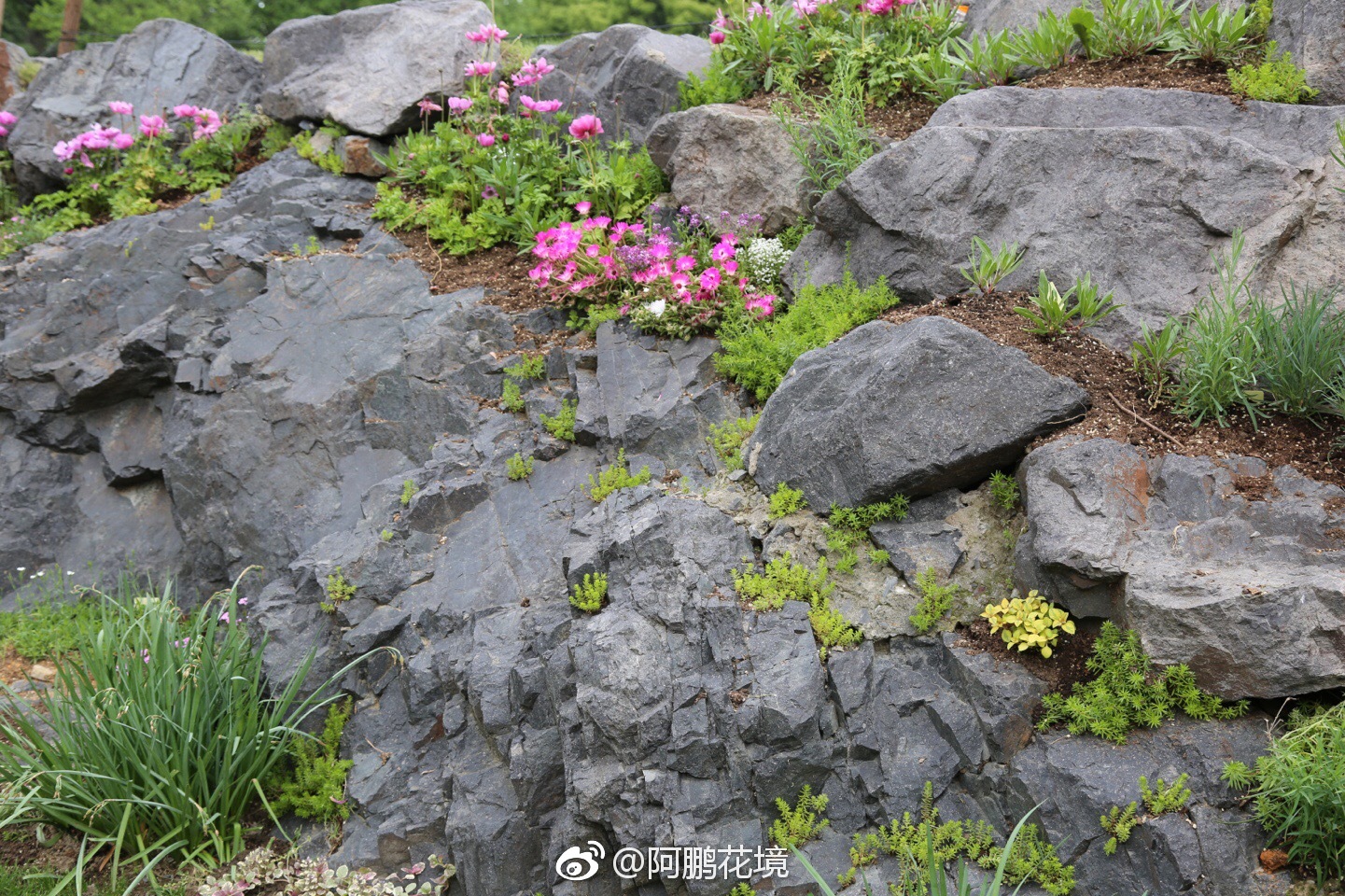 最近一直想写篇岩石园等文,不谈技术配置,单说