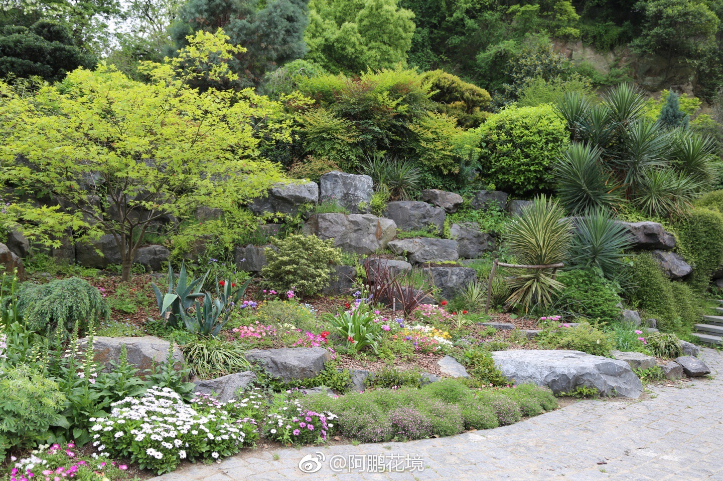 最近一直想写篇岩石园等文,不谈技术配置,单说