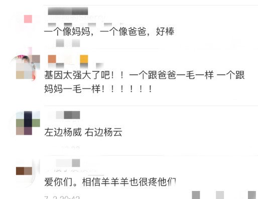 杨威晒双胞胎女儿近照，夫妻俩都才160cm的他们孩子居然是大长腿
