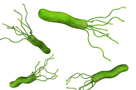儿科专家:儿童会感染幽门螺旋杆菌吗?如何检查
