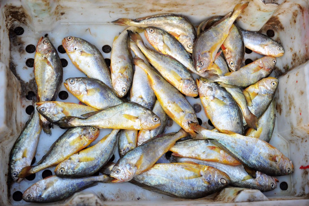 星期一机构一宝博体育- 宝博体育官网- 宝博体育APP下载 BaoBoSports致最看好的10金股