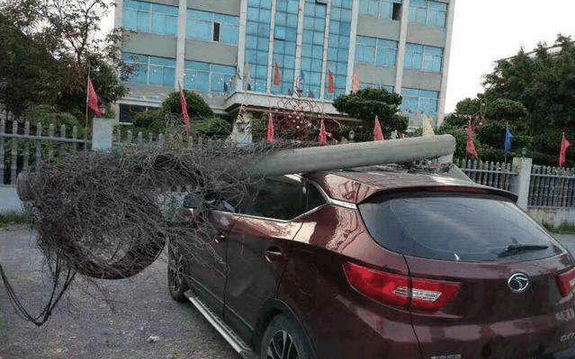 硬汉实力派: 东南DX7硬抗2吨电线杠, 结果网友纷纷称赞!