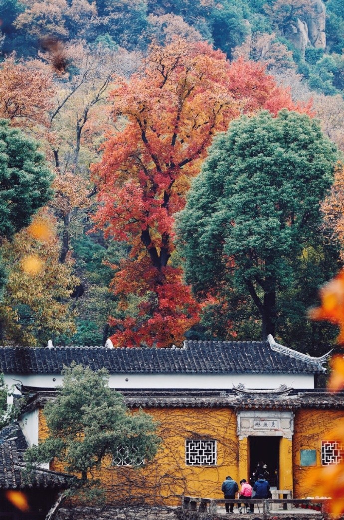 清时有味是无能,闲爱孤云静爱僧