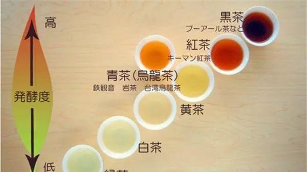 城中村养生馆老板娘如何凭借一碗汤年赚百万的秘密解析