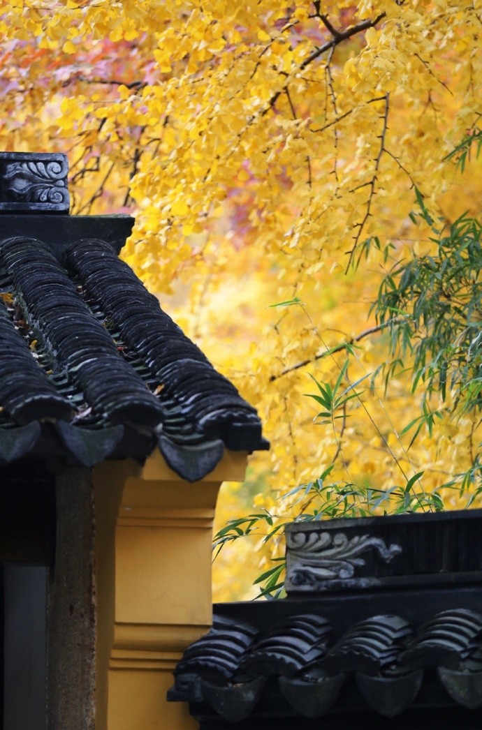 清时有味是无能,闲爱孤云静爱僧