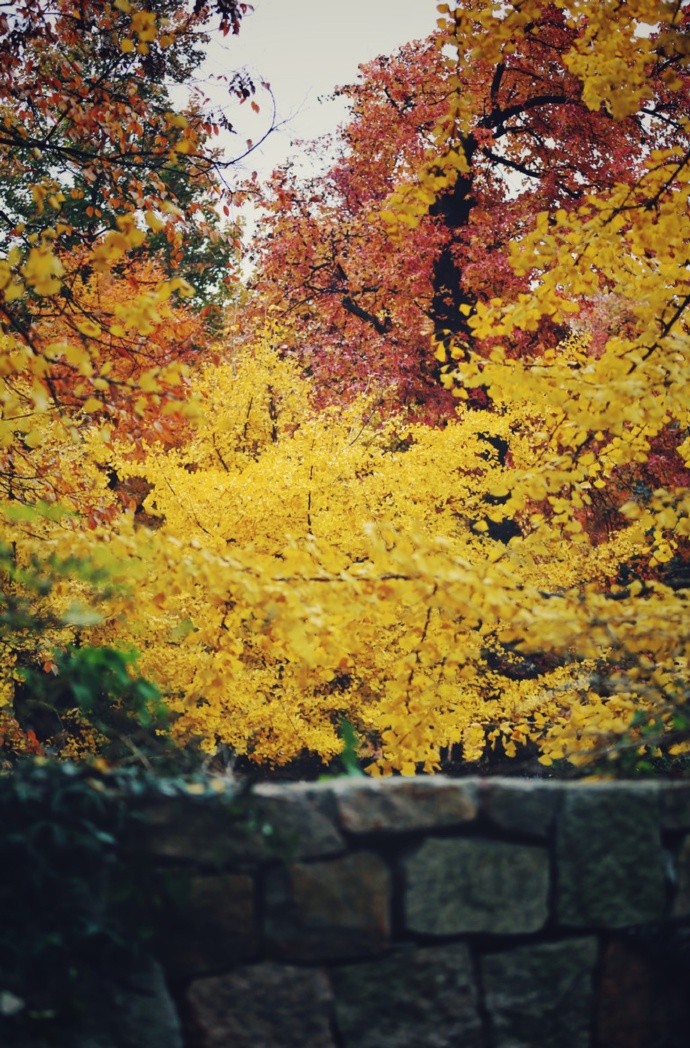 清时有味是无能,闲爱孤云静爱僧