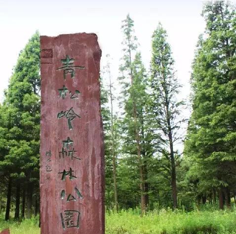 连云港人夏天最爱去的纳凉圣地,任何一个都秒