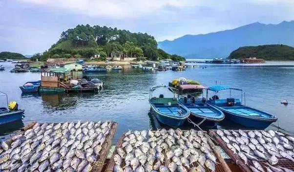 惠州小径生态园,在原生态露营生活与时尚滨海