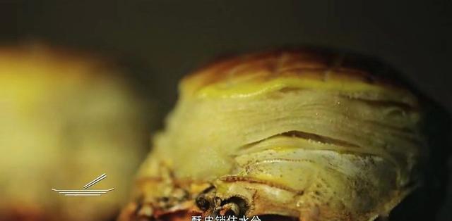 2018最值得等待的美食纪录片《风味人世》开