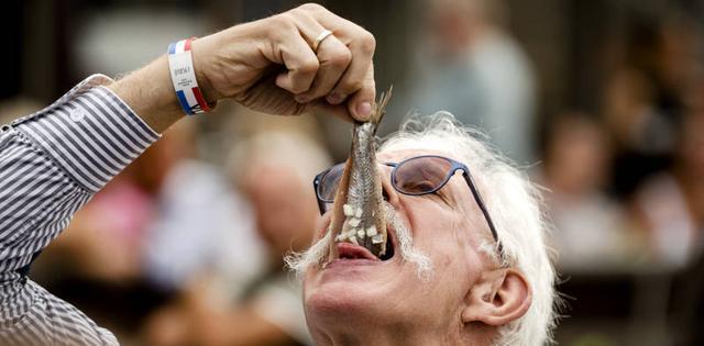 荷兰有什么特色小吃?