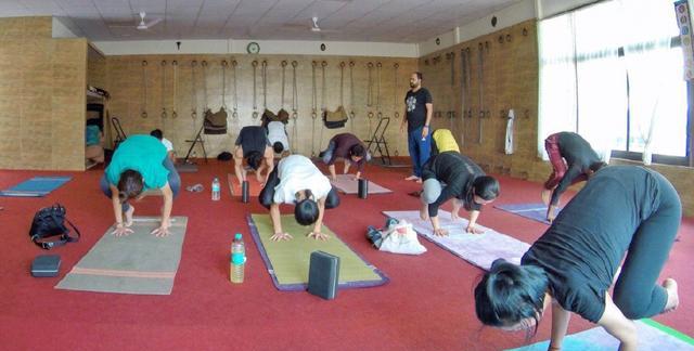 印度教圣地开办百家瑜伽学校,中国美女被练到