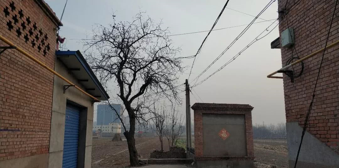 老家太谷一朱家堡村