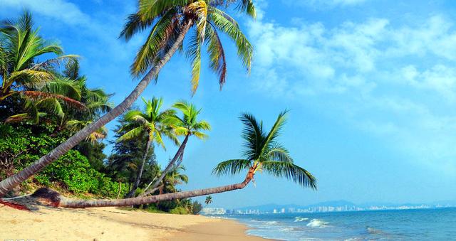 三亚与泰国的气候环境差不多,但是为什么国人