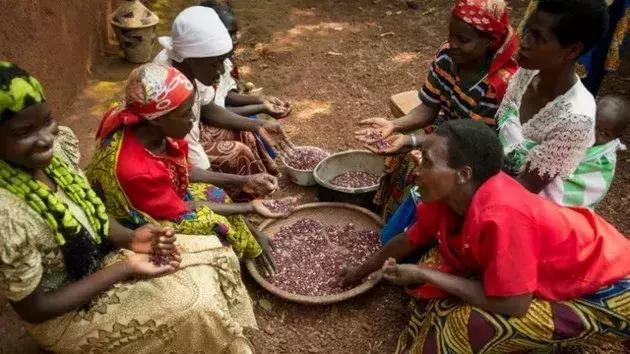 ������20����ƶ��Ĺ��ң�����ռ��16����Ǯ��������׬����