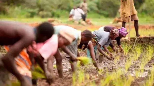 世界上20个最贫穷的国家,非洲占了16个:钱都被老外赚走了