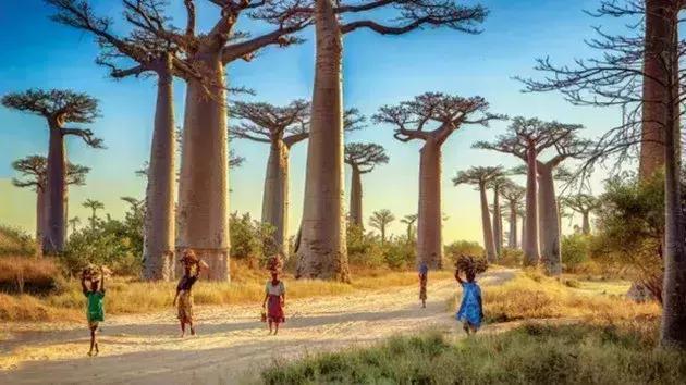 世界上20个最贫穷的国家,非洲占了16个:钱都被老外赚走了