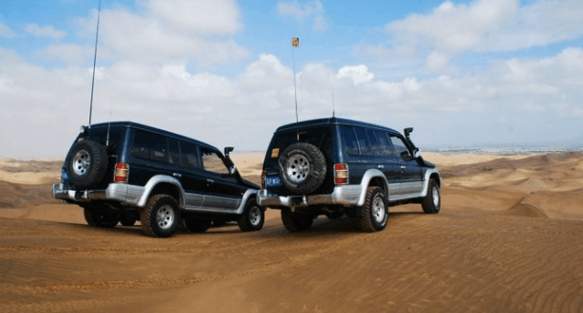 原始野性: 猎豹黑金刚!