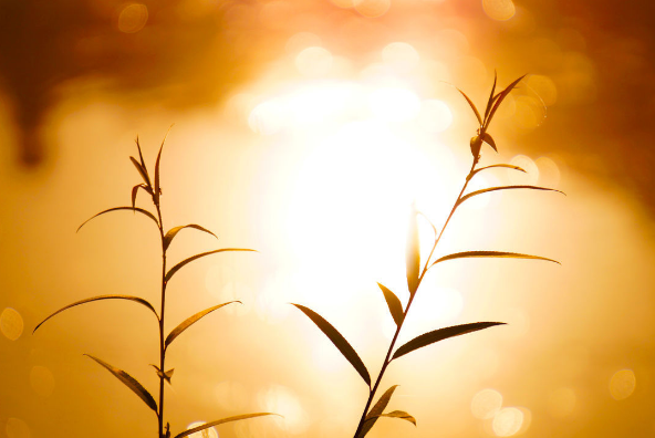 感情中悲伤的分手句子,送给坚强不哭的你