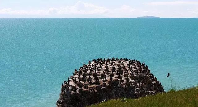 这些还未曾去过的人间天堂从此就关闭了,遗憾