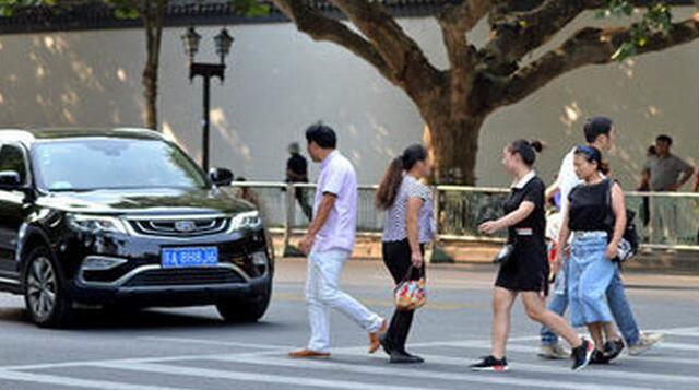 司机撞了闯红灯的行人,到底该承担多少责任?当