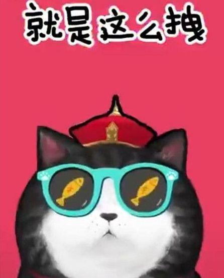 抖音我们喵星人表情包原版表情包