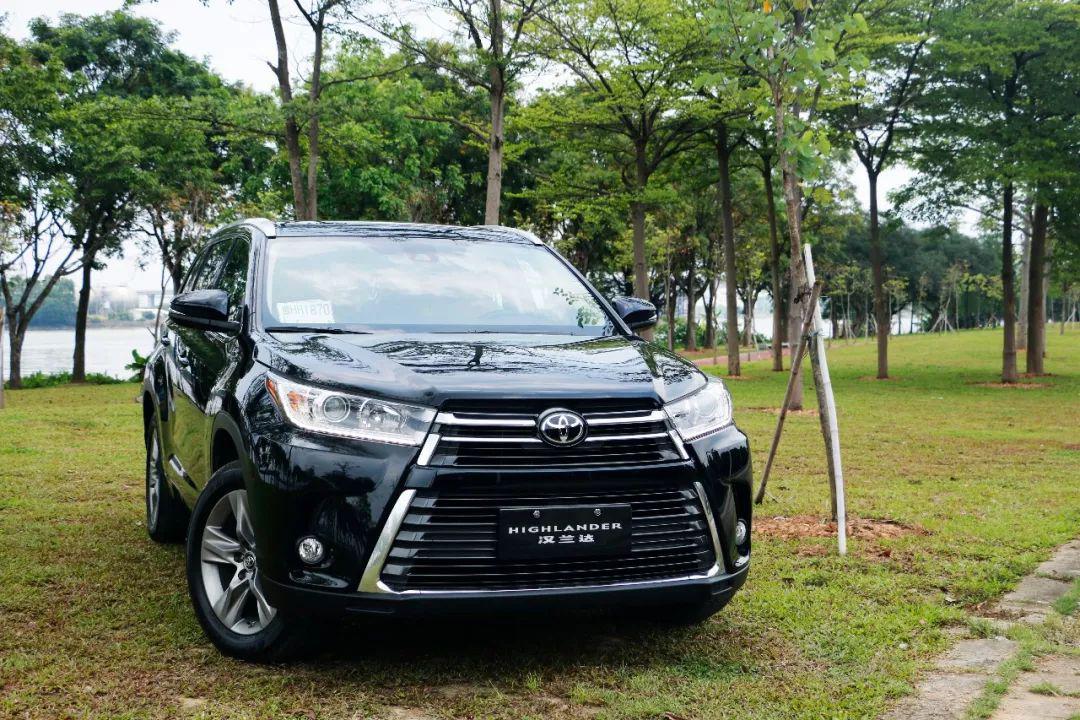 对手们都说要虐它，但它却一直很孤独