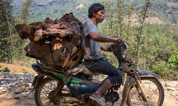 越南小伙问中国游客:你们要多少年才能家家有