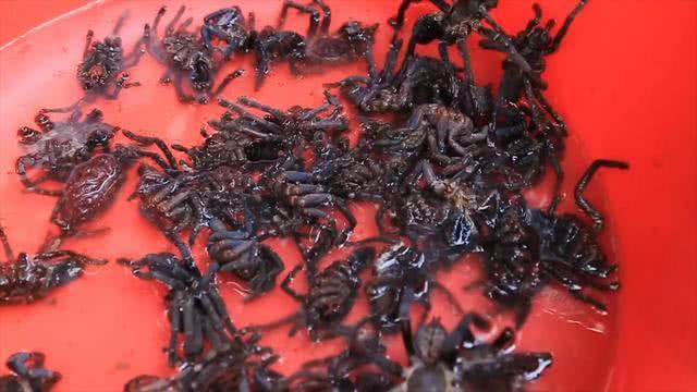 网红为了红真是什么都吃!贝爷不敢吃的东西她