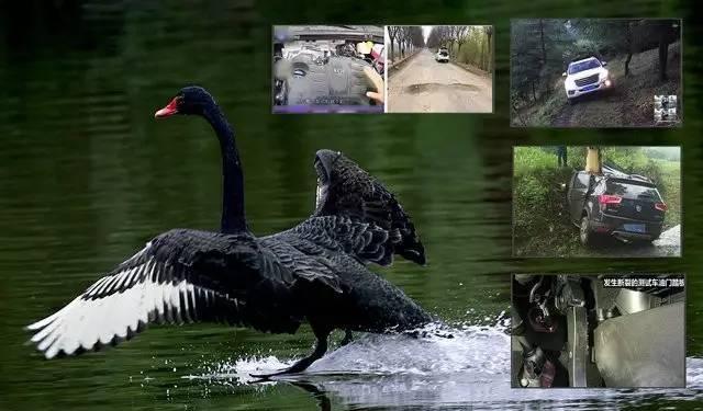 车市中的黑天鹅事件, 宝骏哈弗荣威奇瑞都中了招, 你知几个?