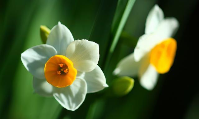 刻苦耐劳,最有毅力的星座