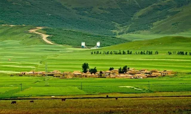 五一放假去哪?天津周边最适合春游的地方!这个