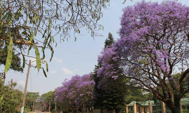 获得者用1000000000000000津巴布韦币兑换了