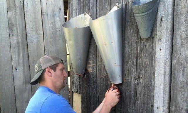 看看国外都是怎么杀鸡的, 中国人表示不理解