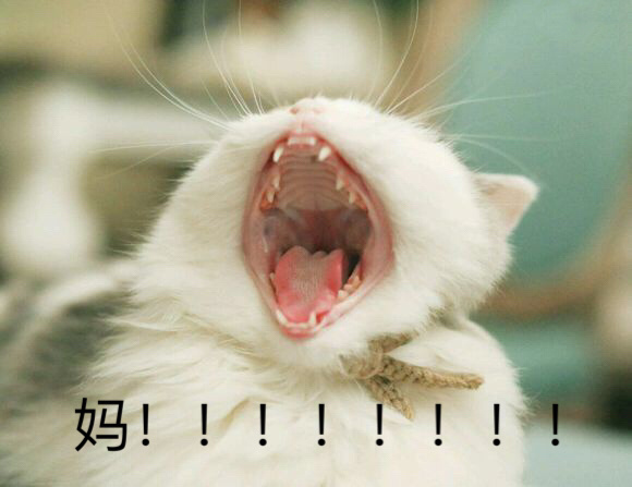 吓死宝宝了:要亲亲要抱抱要举高高嘤嘤嘤~