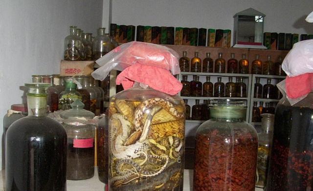 泡蛇酒三年后打开, 蛇从瓶中蹿出咬伤人! 可信吗?