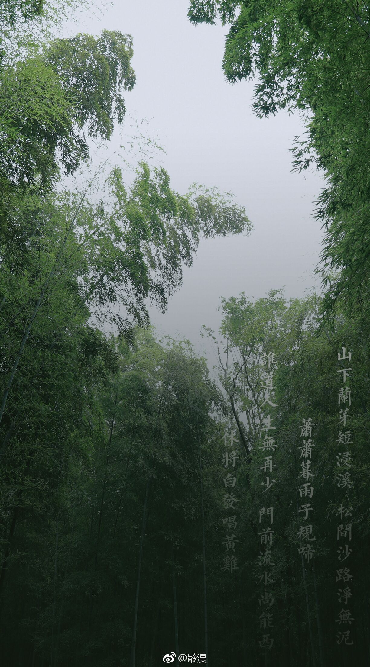 雨山短借 新浪网