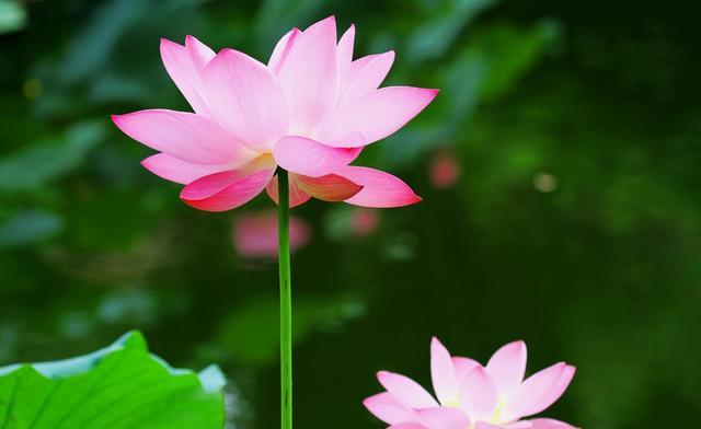 熬过7月,喜得贵人帮衬,横财入宅,迎来25年好运气的